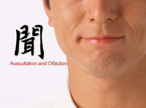 consultation-Auscultation and olfaction